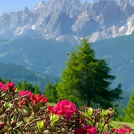 Hotel Holzer 3*